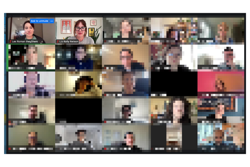 Going Solo virtual session with participants on Zoom